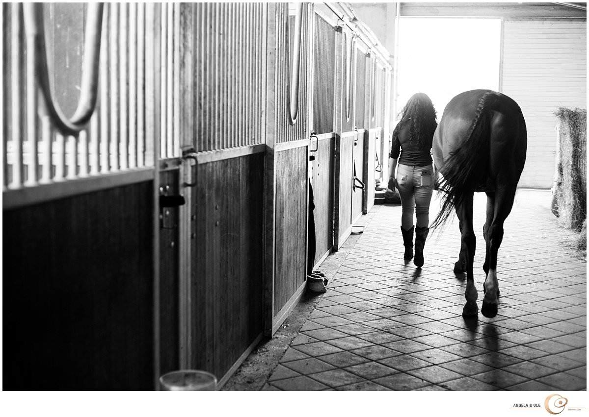 Pferdestall Fotoshooting Pferde